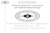 Ico International Fellowship Program 4089