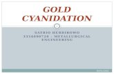 Gold Cyanidation Presentation