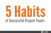 5 Habits of Successful Project Teams