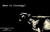 What is Strategy? BI Norwegian Business School STR3600