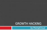 A Definitive guide to Growth Hacking | PromptCloud