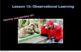 Lesson 13 observational learning 2013