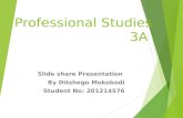 Professional studies slideshare  presentation