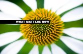 What Matters Now, by Seth Godin