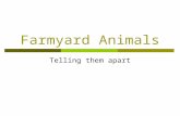 Farmyard Animals2