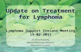 Update on treatment for lymphoma, Lymphoma Support Ireland meeting - feb 2011 - pc