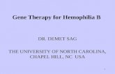 Gene Therapy For Hemophilia B Version 2 (9 13 2008)