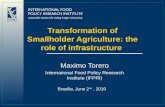 Transformation of Smallholder Agriculture: the Role of Infrastructure