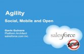20120712 Salesforce Agility Social Mobile and Open, Gavin Guinane