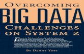 Overcoming Big Data Challenges on System z