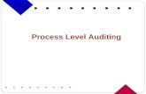 Process Level Auditing   Presentation