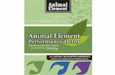 Animal Element Presentation