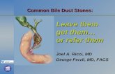 Common Bile Duct Stones: Leave Them Get Them or Refer Them