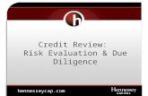 Credit Review: Risk Evaluation & Due Diligence