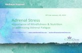 What is Adrenal Stress with Lisa Jackson