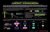 Energy matters infographic