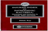 Injured index and pathogenic bacteria    occurence and detection in foods, water and feeds