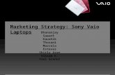 Sony marketing strategy_v9