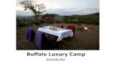 Buffalo Luxury Camp Tanzania