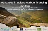 Advances in upland carbon financing