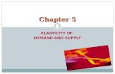 Chapter 5 price elasticity