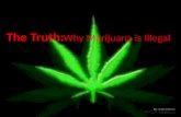 Why marijuana is illegal