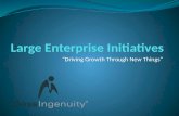 Large  Enterprise  Initiatives