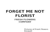 Fresh flower bouquet  Pictures