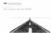 NIIF - Grant Thornton Perú