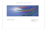 Final WTO Assignment