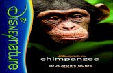 Disneynature's Chimpanzee Educator's Guide