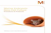 Murine Embryonic Stem Cell Culture Procedures & Protocols Guide