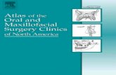 Volume 15, Issue 1, Pages 1-68 (March 2007) - Maxillary Reconstruction