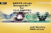 ANSYS nCode Design Life - User Groups 2011