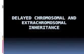 Delayed Chromosomal and Extra Chromosomal Inheritance