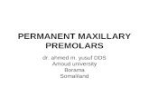 1.Permanent Maxillary Premolars