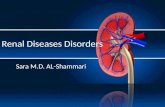 Renal Diseases Disorders
