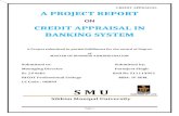 50681920 a Project Report on Credit Appraisal