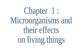 Chapter 1: Microorganisms