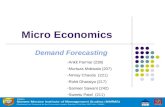 MicroEconomics Demand Forecasting Final 050910