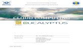 Rapport Eucalyptus CloudComputing