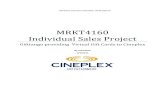 MRKT4160 Individual Sales Project