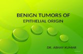 Benign and Malignant Tumors of Oral Cavity