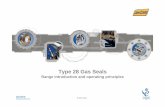 Type 28 Gas Seals System Presentation