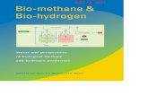Biomethane and Biohydrogen Reith Ed