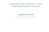 Gluster File System 3.2.5 Administration Guide en US