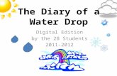 The Diary of a Water Drop
