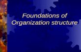 Foundations of Organization Structure