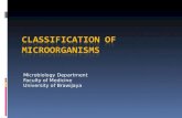 4. Classification of Microorganisms