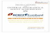 ICICI Lombard Project Report